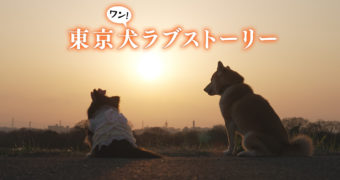 <span class="title">3/22 東京犬ラブストーリー</span>